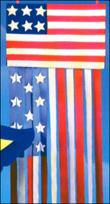 Flag wind banner